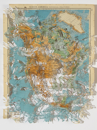 Illustration for article titled The Astonishing Art of Birds and Flowers Cut From Maps